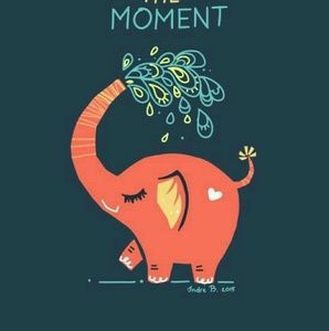 Meet your Posher, Steph